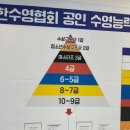 슈퍼스타스위밍영종