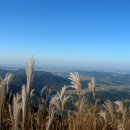 광성토굴새우젓 이미지