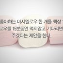 마법사약국 이미지