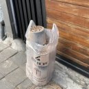 동강펜션해오름 이미지