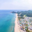삼척해동해물 | 삼척 맹방 유채꽃축제 2026 개화시기 총정리｜맹방해변 맛집·1박2일 코스