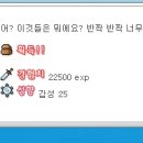 미카엘라 이미지