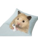 (주)메디어트 이미지