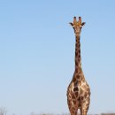 알콩달콩 이미지