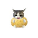 보름 이미지
