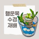 신남성초교 병설유치원 이미지