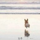 월천테크트리 생생 후기 아주 괴물만 가득해, 과제 밀리면 X댄다 (ft. 쇼머니 구매대행)