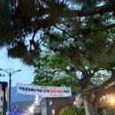 정든횟집 - 거제시 학동6길 12 | 정든횟집
