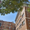 서울버들초등학교 이미지