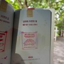 사계리 공부방 옆 주차장 | [제주 산방산 방문기] 산방굴사부터 산방연대까지 둘러본 산방산 관람 후기 (국가유산 스탬프 투어 #6)