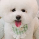 에브리 뽀송 이미지