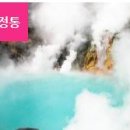 호텔1411