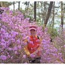 몰운대초(롯데캐슬219동앞1) | 다대포 둘레길 - 봄나들이 트레킹