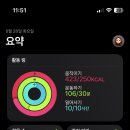 태권돌이 이미지