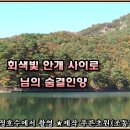 아침노을 이미지