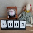 모란여성병원 마이데일리
