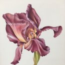 보태니컬아트 이미지