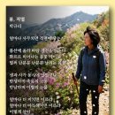 봄, 적멸 - 박규리 이미지