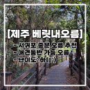 베릿내 | [제주 베릿내오름] 서귀포 중문 애견동반 오름 추천 (난이도 쉬움)