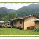 강남-007 이미지