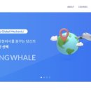 플라잉웨일에비에이션