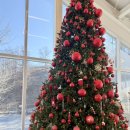 유일사슴목장 이미지