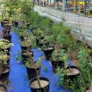 하니농장 이미지