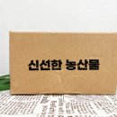 씨알농장 | 감자농장 강원도 햇감자 바이더홈스 2025년 햇 두백감자 특