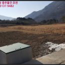 도대리보건진료소 네이버블로그
