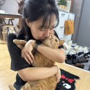 2025년 6월 첫째주 일상 - 살찌는 야장주간🥹, 종로...안아주기날😻, 도림천러닝 후 치맥🍗, 청모, 헤이도우