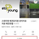 스테이 영 | 매탄동 스테이영 애견유치원 호텔링 후기 겁 많은 강아지 솔직 리뷰