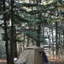 팔현농장 | 팔현캠프 1박2일, 1/31~2/1