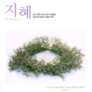 와이즈알 이미지