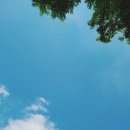 인라인스케이트장 앞 이미지