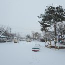 서전주유치원 이미지