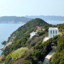 산양일주도로가로수 이미지