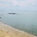 서해바다해물요리 이미지