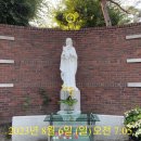코코침장 | 영광스러운 모습으로 변모하신 빛나는 모습을 닮게 하소서.