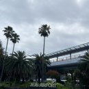 2022.07.11_공항, 이호테우해변, 도두봉, 행복밀, 아침바다