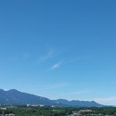 라벤다공인중개사사무소 이미지