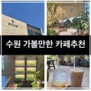 수원 신상카페 식물구경하기 좋았던 익투스