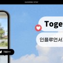 스테이인포시즌 이미지