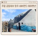 네버랜드어린이집 | 세종근교 아이랑 당일치기, 거대한 동물 건물 있는 청주 네버랜드 테마펜션 평상 후기