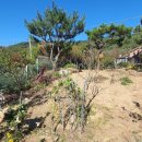 반한땅반한집공인중개사사무소 이미지