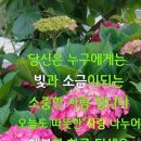 행복한하루 이미지