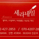 네일세라 이미지