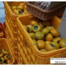 하늘아래첫농장 이미지