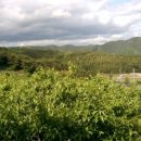 행복농장 이미지