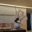 더레스토랑 | 강릉 씨마크 호텔 더레스토랑 조식 후기(즉석 쌀국수가 없다니!)