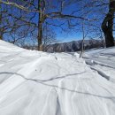 2월16일(일), 정기산행, 오대산, 마지막 눈꽃산행, 산행안내. 이미지